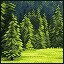 Icon for Summer Glade