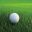 Screen Greens Demo icon