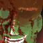 Rot