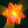 Goldrot icon