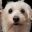 The Puppy icon