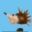 The Adventure of Sunny the hedgehog icon