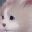 Get a cat icon