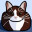 Catio Simulator icon
