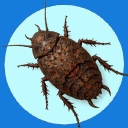 รางวัลความสำเร็จ Cockroach! สำหรับ Steam | WeMod