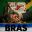 BRAS icon