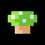 The Mushroom