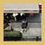 Scavenger achievement icon for The Next Journey Of Life