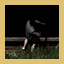 Fishing Expert achievement icon for The Next Journey Of Life