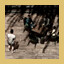 Gambling for Fun achievement icon for The Next Journey Of Life