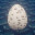 Oeuf icon