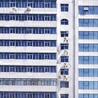 Icon for All Hail the Cat Overlord