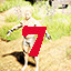 Icon for Find gump level 7