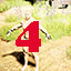 Icon for Find gump level 4