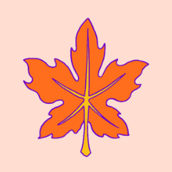 Majestic Maple