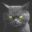 Purrrification icon
