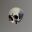 MONSTER WAR icon