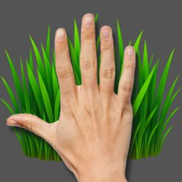 Toucher of Grass achievement icon for Grass Toucher
