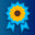 100 Sunflowers icon