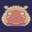 Beloved Bound icon
