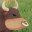 Neuter Master Playtest icon