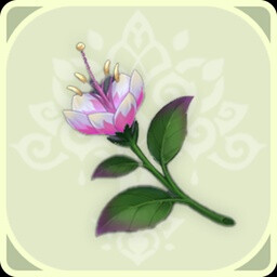 神秘花束 achievement icon for The Bygone Days of Her and the Flowers