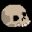 Bone fixer shop icon