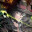 Stabjack icon