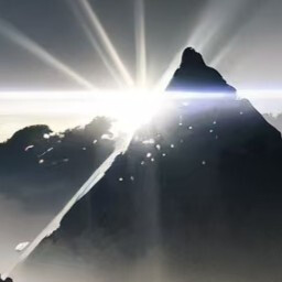 Icon for A Fish out of Water