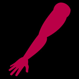 Icon for Augmented Prosthetic