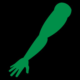 Icon for Transcendent Prosthetic