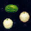 Icon for Melon Trio