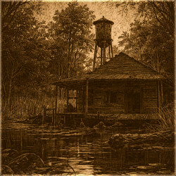Riverside Shack achievement icon for Forest Doesn’t Care