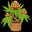 GrowBud icon