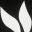 Arcabbit Demo icon