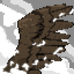 Wings Soar Skyward