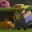 Can't Stop Rory Demo icon
