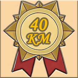 Icon for 🎖️Lv.40🎖️