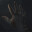 PETRACAL Demo icon
