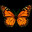 Flutterfield icon