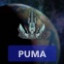 Puma Owner