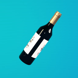 The Cheap Stuff achievement icon for Life of Guy - Chapter 1