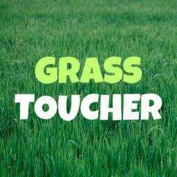 Icon for Welcome to the Grass Toucher Demo