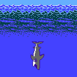 Shark Hunting Experts