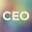 Software CEO Demo icon