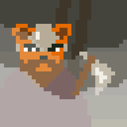 Icon for The Axe Fighter