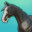 Tobiano icon