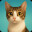 Rogum A Cat Match Puzzle icon