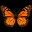 Flutterfield Demo icon