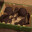 Osta icon